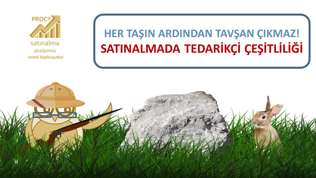 You are currently viewing Her Taşın Ardından Tavşan Çıkmaz: Satınalmada Tedarikçi Çeşitliliği