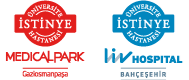 İstinye logosu