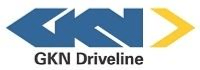 GKN logosu